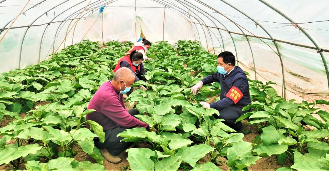 市人大代表走访慰问防疫工作者,人大代表疫情防控调研