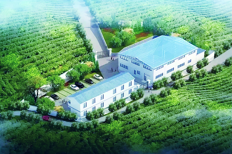 德宏州芒市中山乡,德宏芒市中山镇