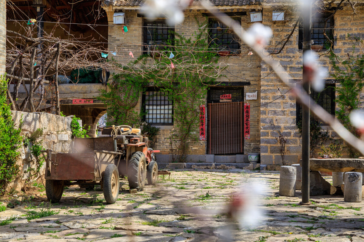 三观一致胜过血缘关系,三观一致必将取代血缘关系