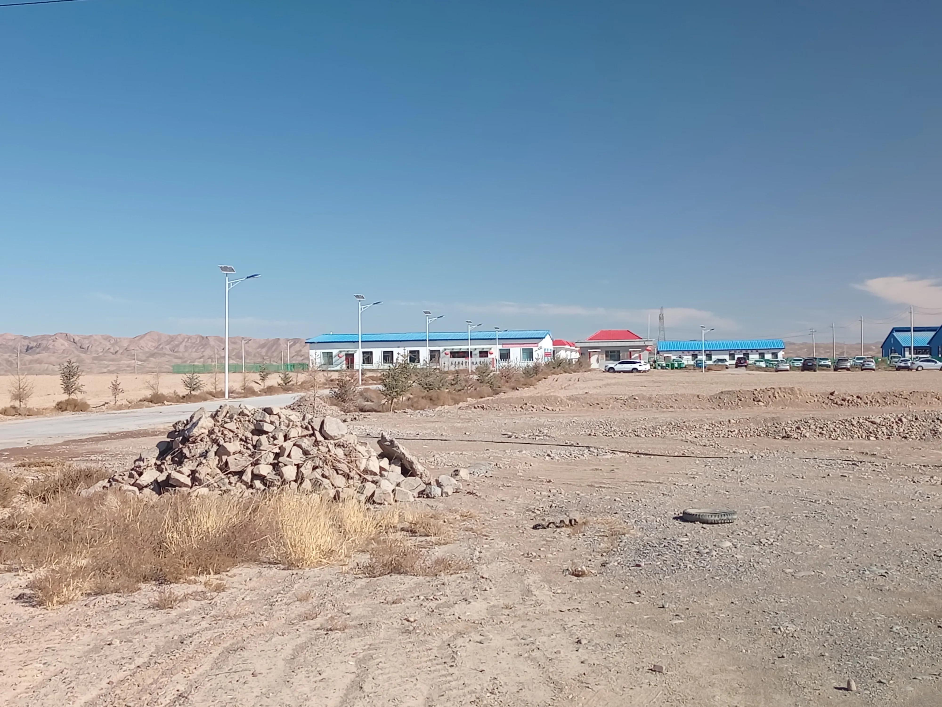 未来养羊和养牛哪个更有前途,新手创业选择养牛还是养羊合适