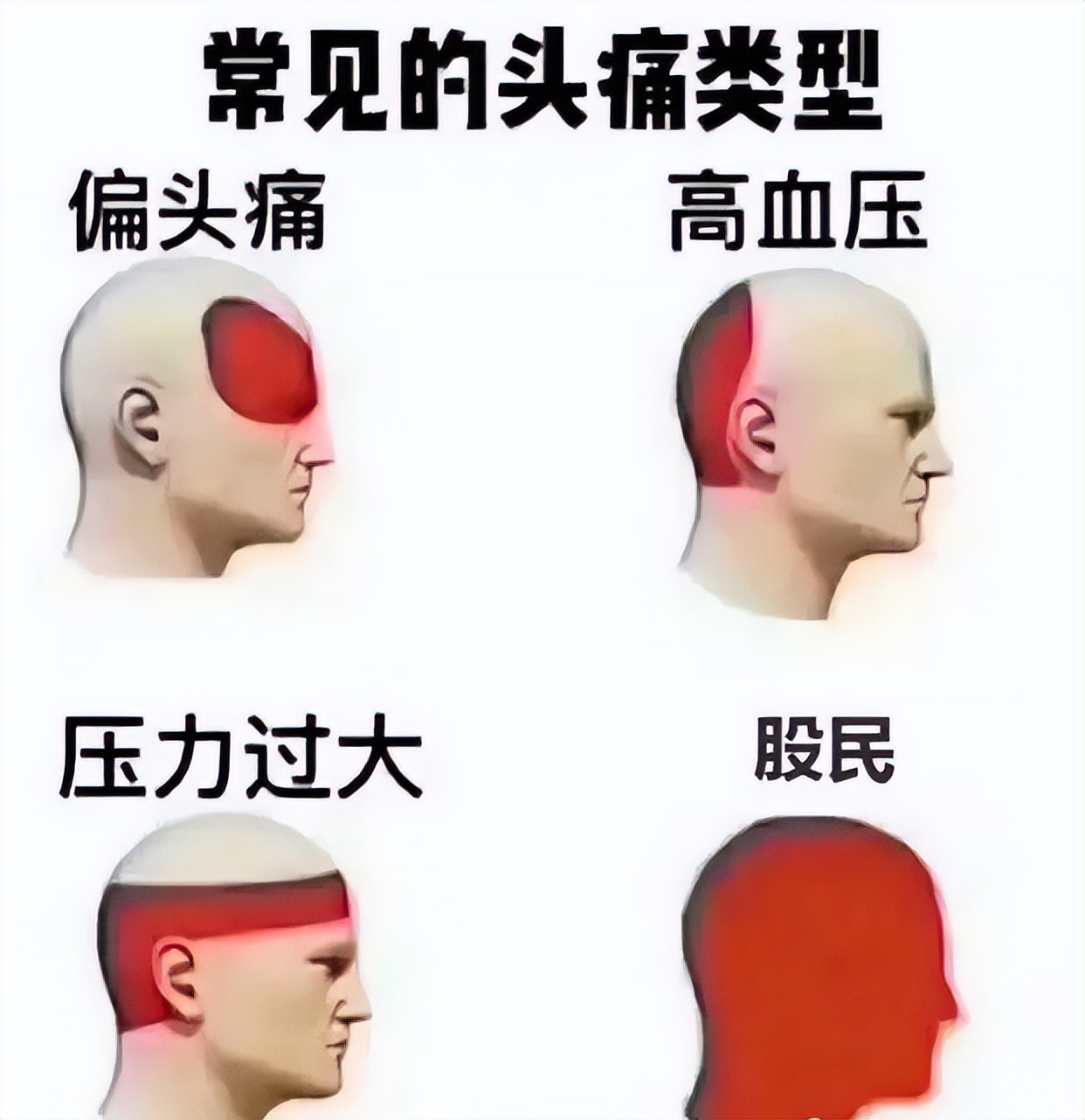 a股股市里血淋淋的教训,a股持续低迷股民该如何抉择