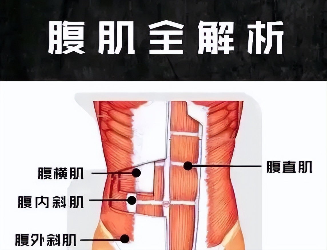 健身需要单独的训练腹肌吗,腹肌到底需不需要刻意去训练