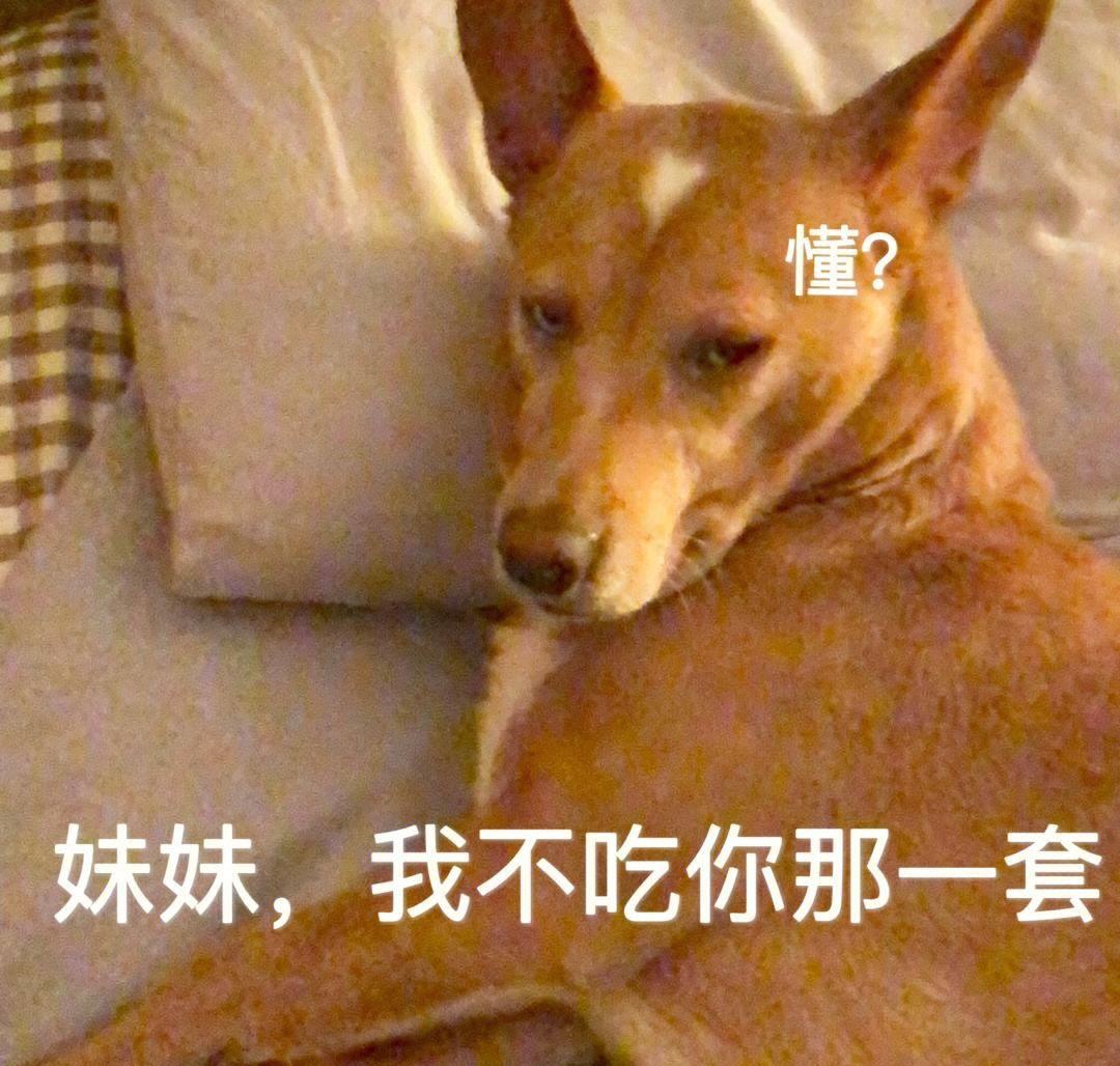 笑话十条:我弟读初中,他老抱怨自己脚臭