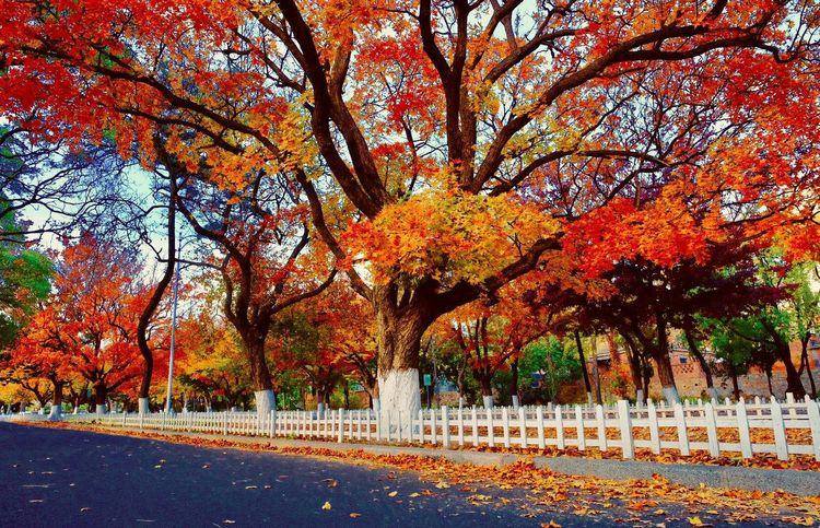 大连旅游攻略住宿推荐,大连旅游攻略三天游哪个岛好