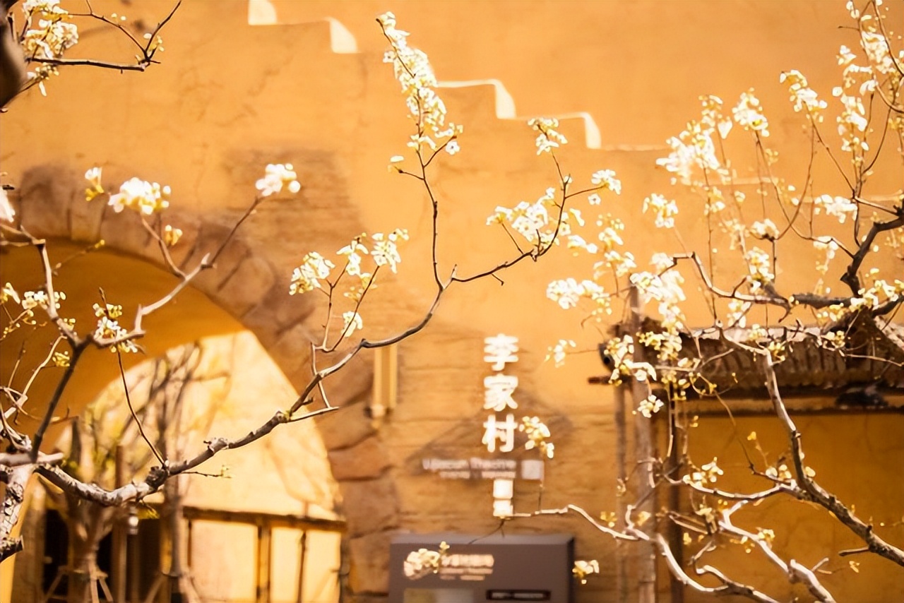 清明假期免费景点郑州周边,清明小长假适合去哪里玩郑州附近