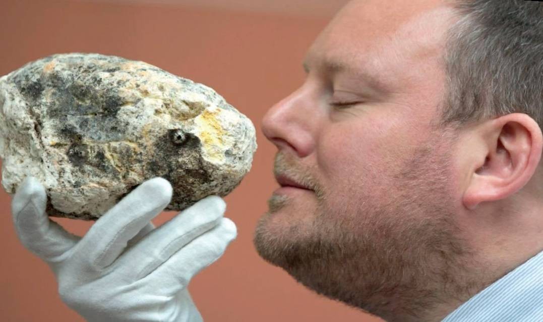 香水的原料也是粪便的原料,动物粪便香水