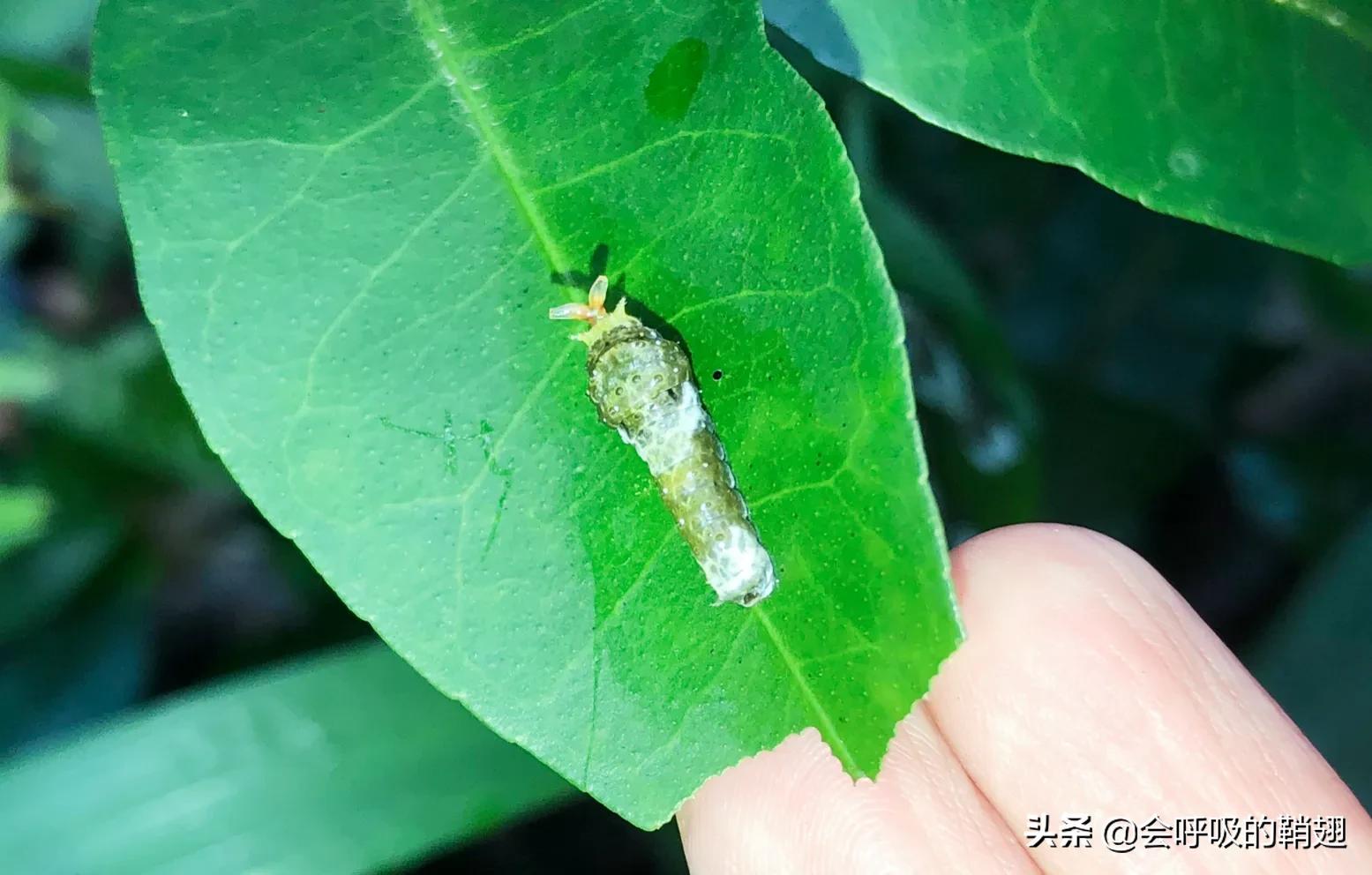 5个月的等待,经过5个多月的漫长等待