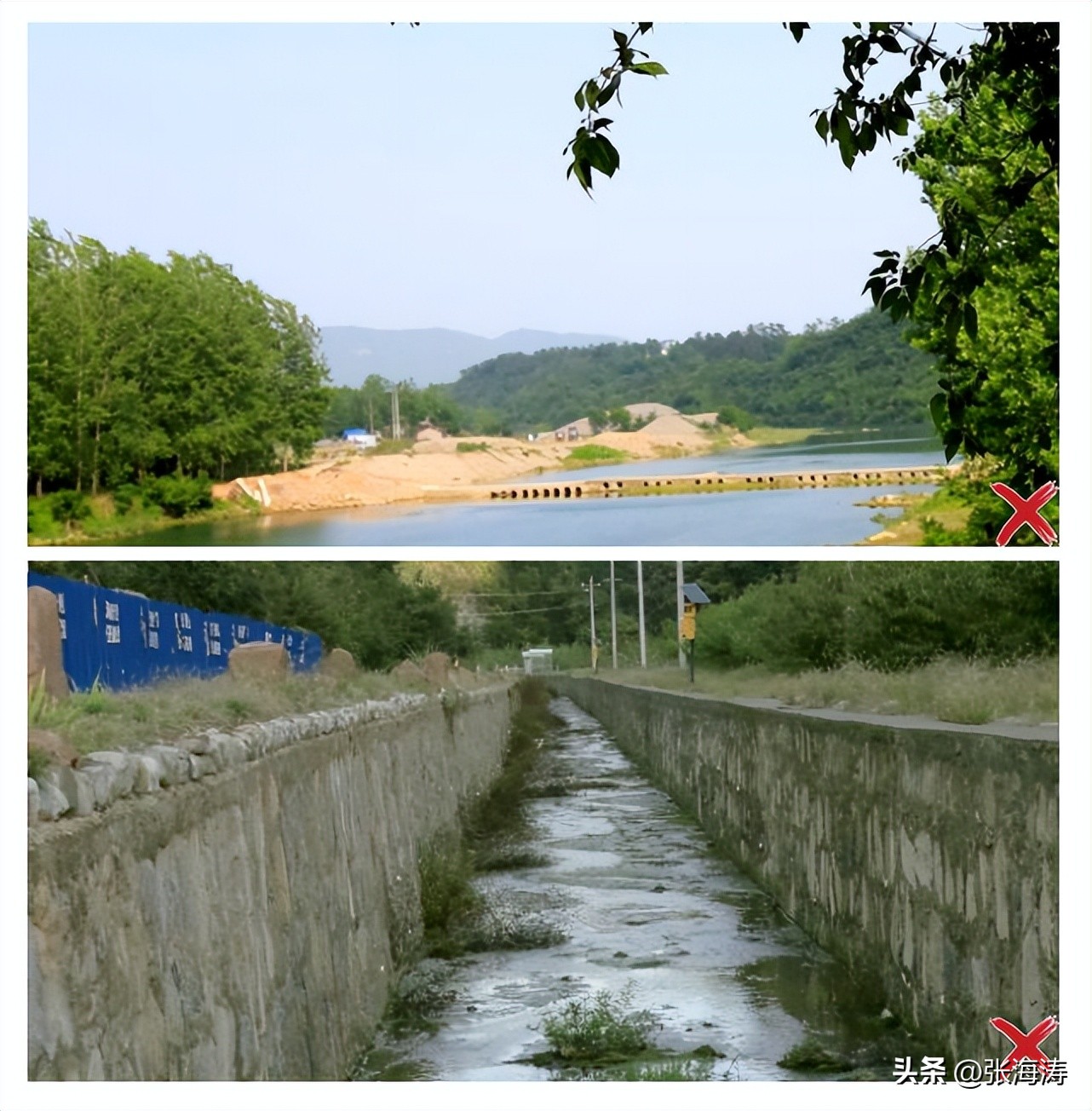 湖北园林绿化工程施工,湖北园林绿化景观设计施工养护