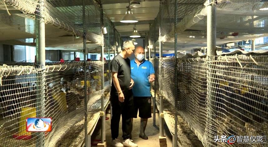 创业路上的奋斗者,返乡创业青年创业事迹