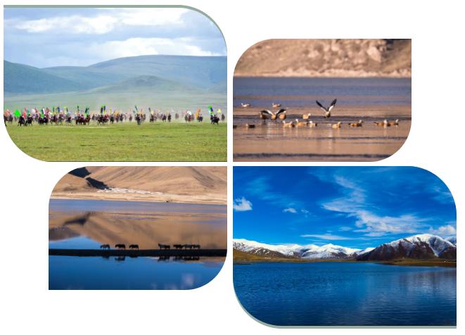 风中传来的气息,风中传来了苦咸的气息