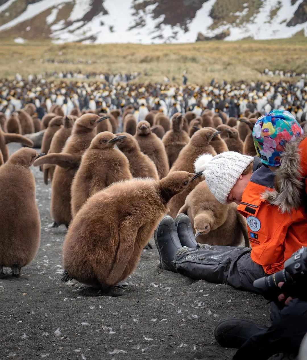 这对年轻夫妻放弃高薪，旅行2年花光存款，潇洒8年后向全网凡尔赛