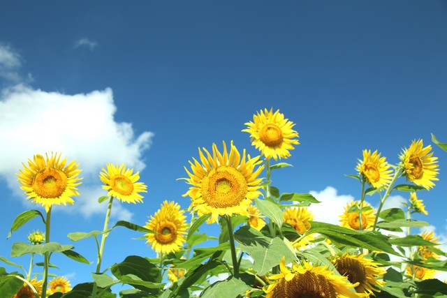 生活中不值钱的8件事,你生活花费时间最多的5件事