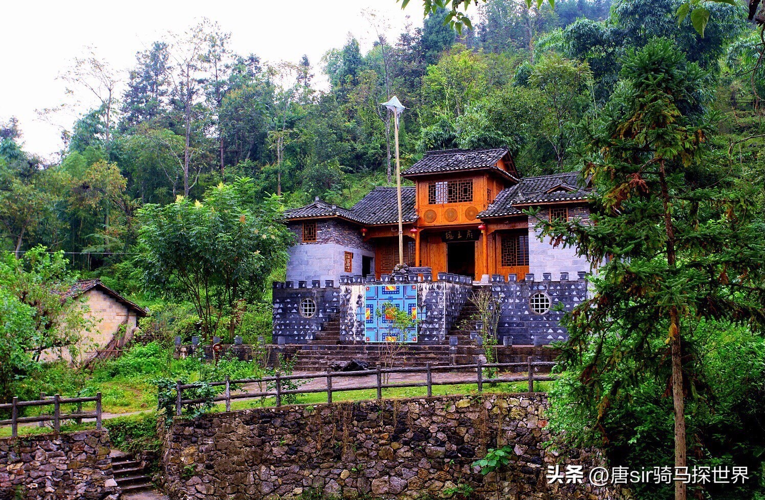 骞胯タ鍐滄潙鑿囧,骞胯タ璐靛窞浜ょ晫鐨勮弴绫绘潙