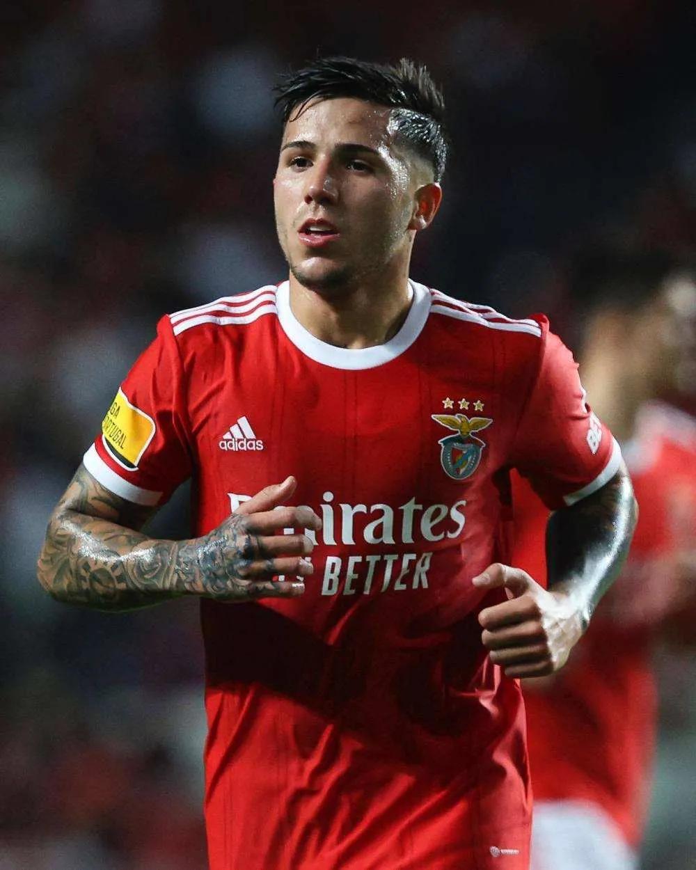 欧洲三大黑店,欧洲黑店新星有哪些