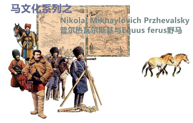 漫话普洱茶,漫话