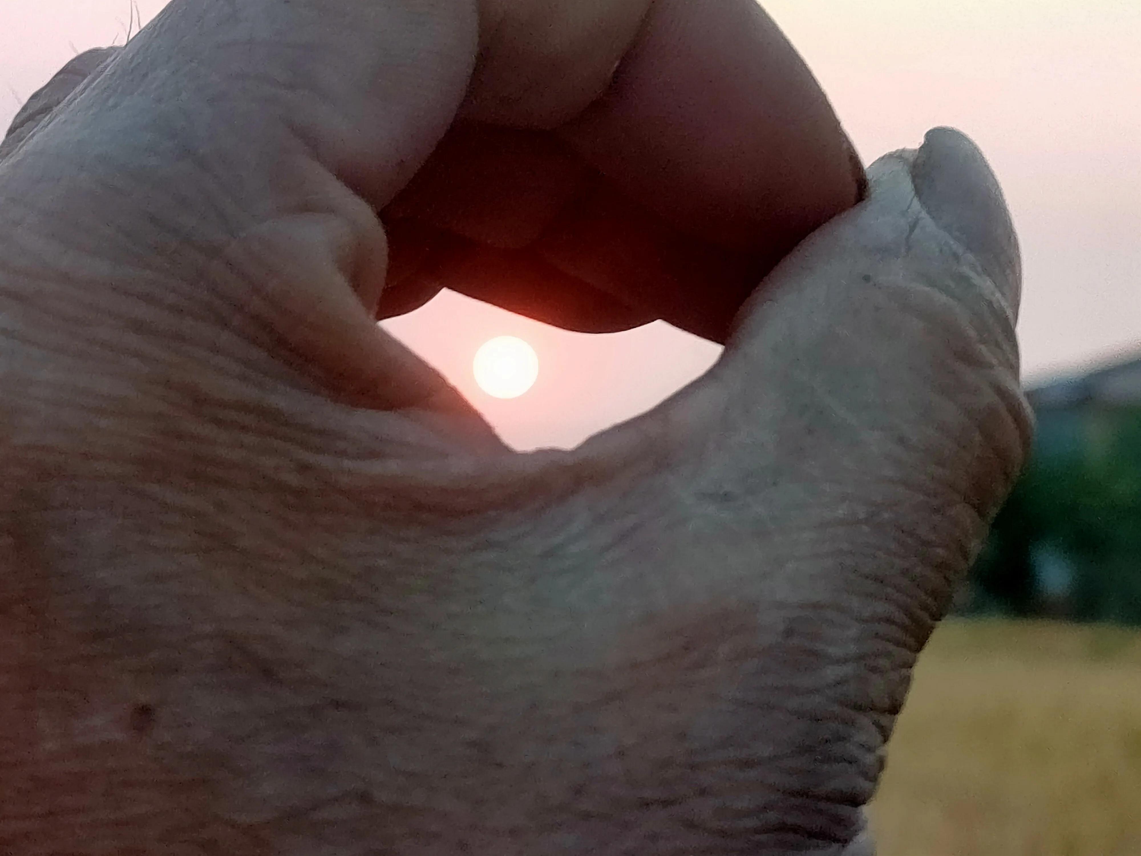 农村人是最美的劳动人,农民是最轻松的职业