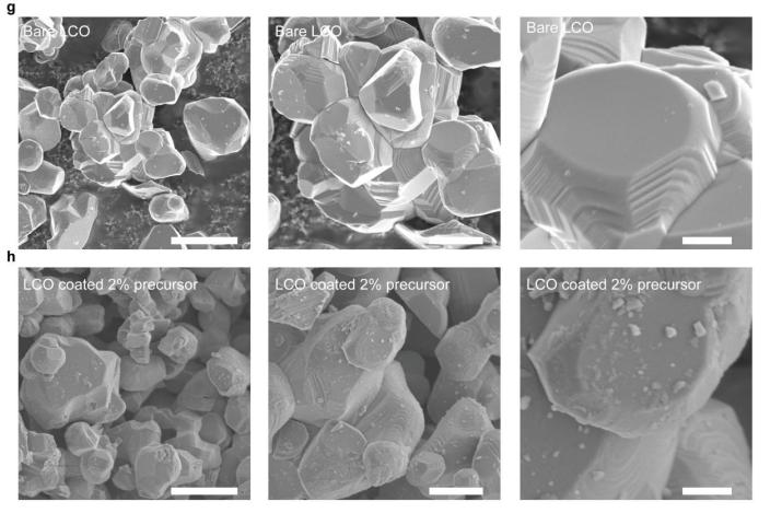 锂基电池在应用中，钴酸锂发生电化学反应时，表面颗粒有什么变化