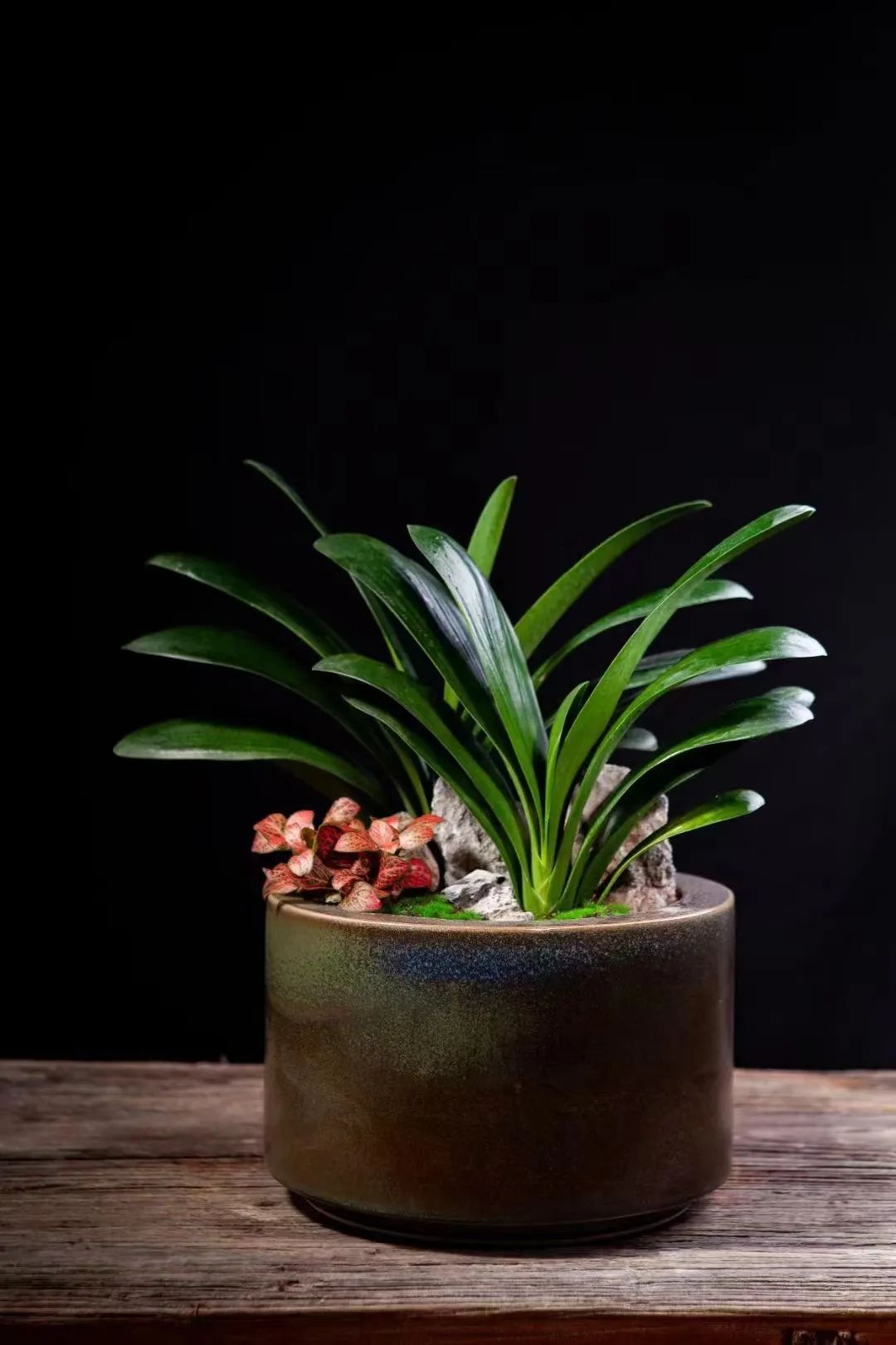 浼佷笟鏂版槬鑺辫壓甯冪疆鍥剧墖,浼佷笟鍥㈠缓鑺辫壓娲诲姩鏂规