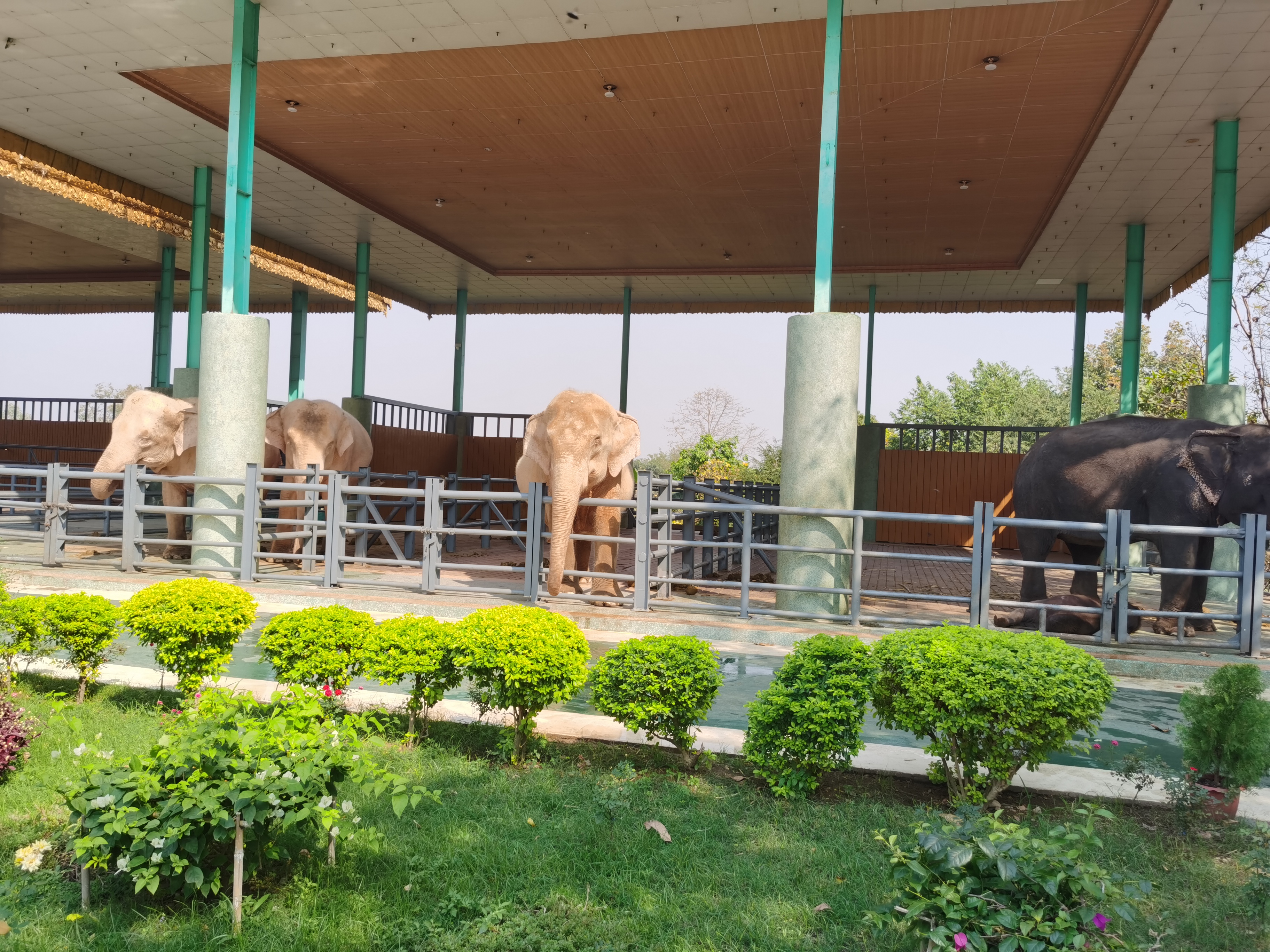 走近缅甸（23）：去缅甸的流程