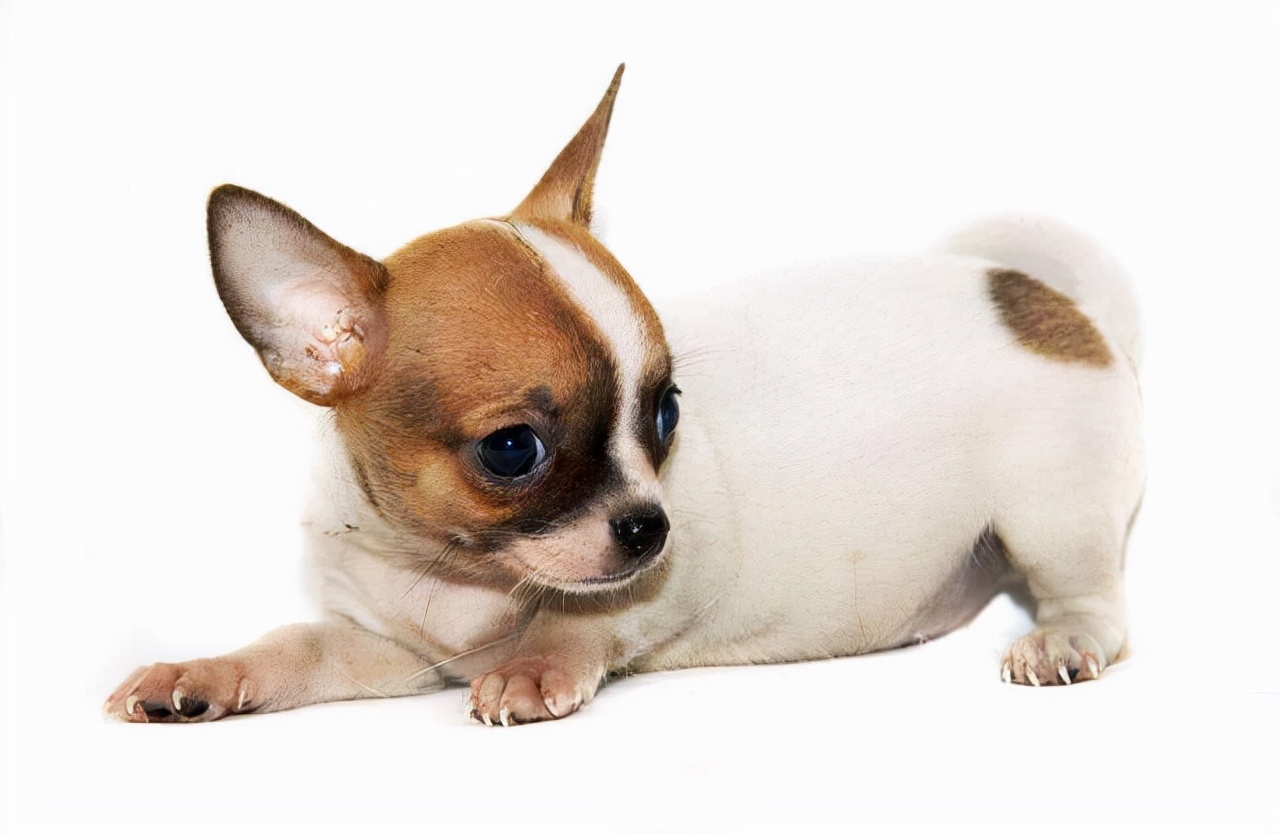 老龄化社会的到来，这几个领域的上市公司将长期受益