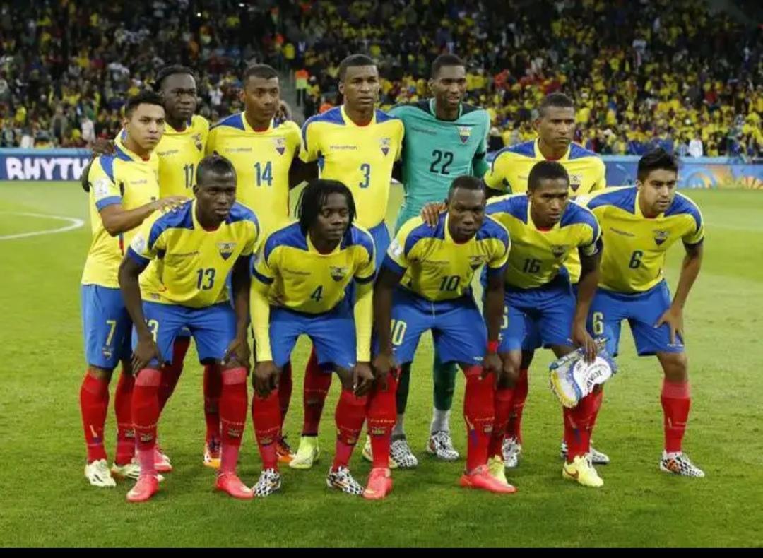 卡塔尔世界杯vs南非世界杯,卡塔尔世界杯vs巴西