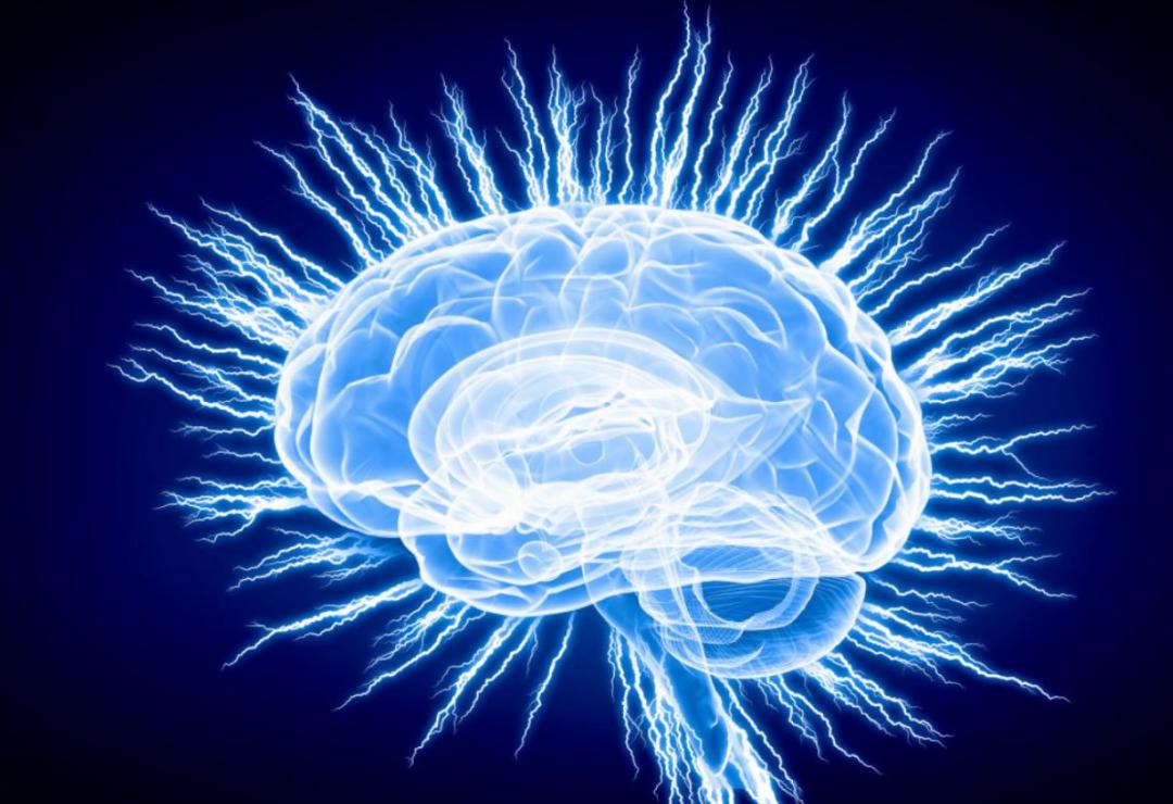 人类的大脑到底有多强大,人类的大脑是多少g的内存