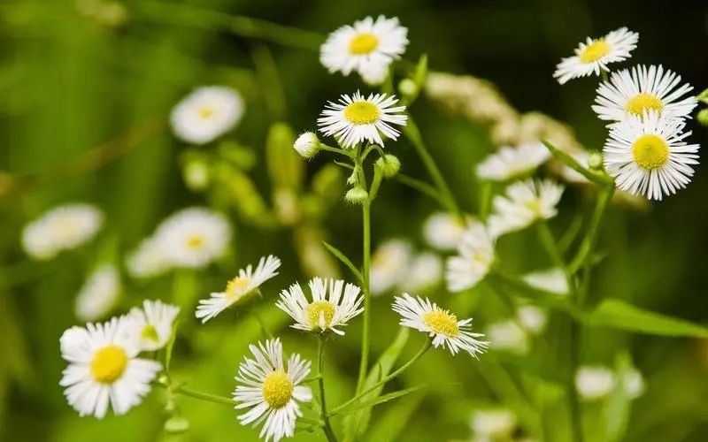优美而有深度的句子,100条又短又好的好句子