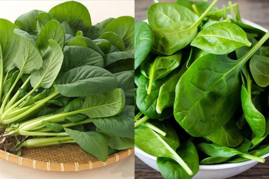 冬季养肾最佳的食物有什么,煲汤男人养肾补精最佳食物