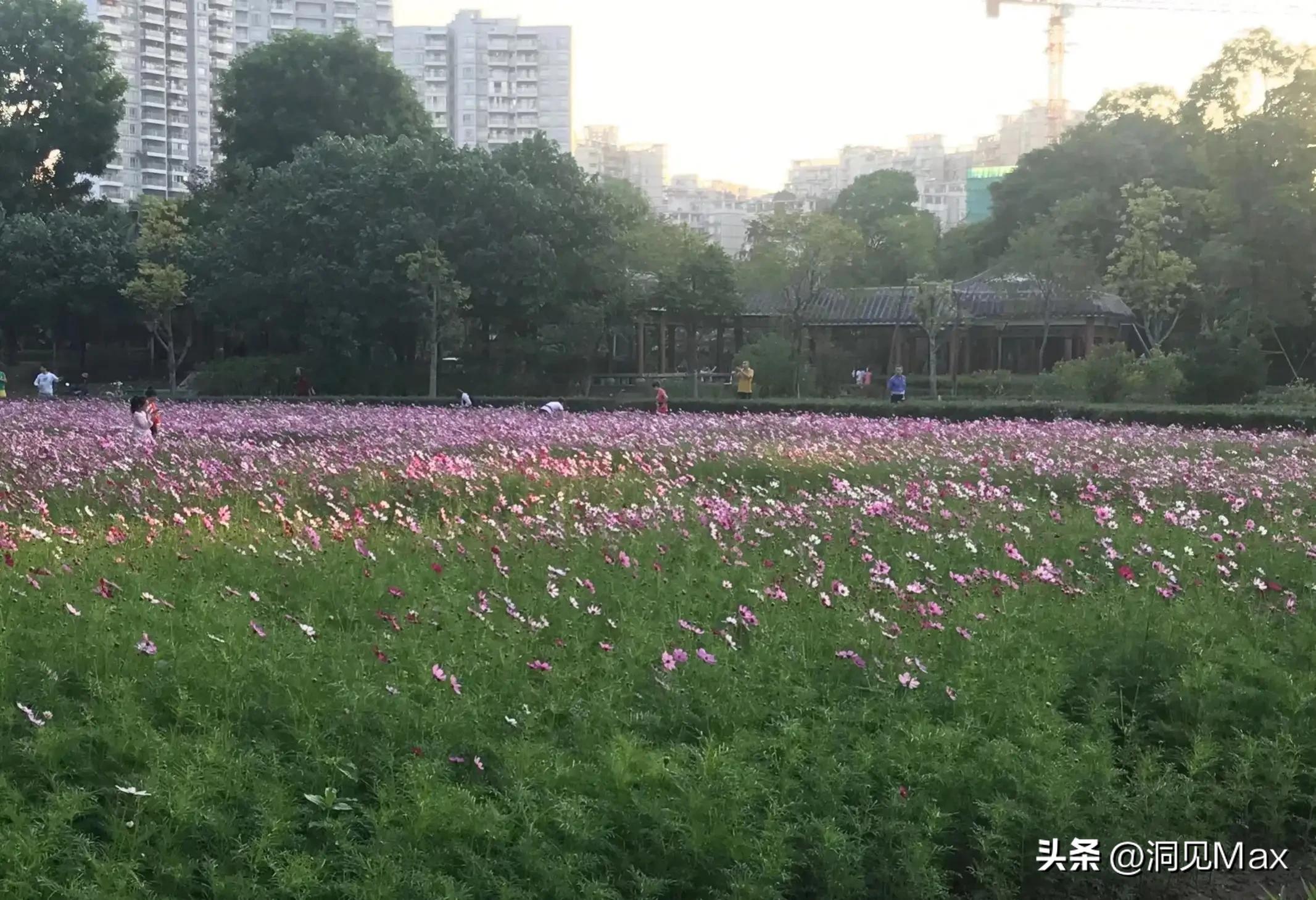 前任因为我有钱复合,前任因为我欠钱还想复合