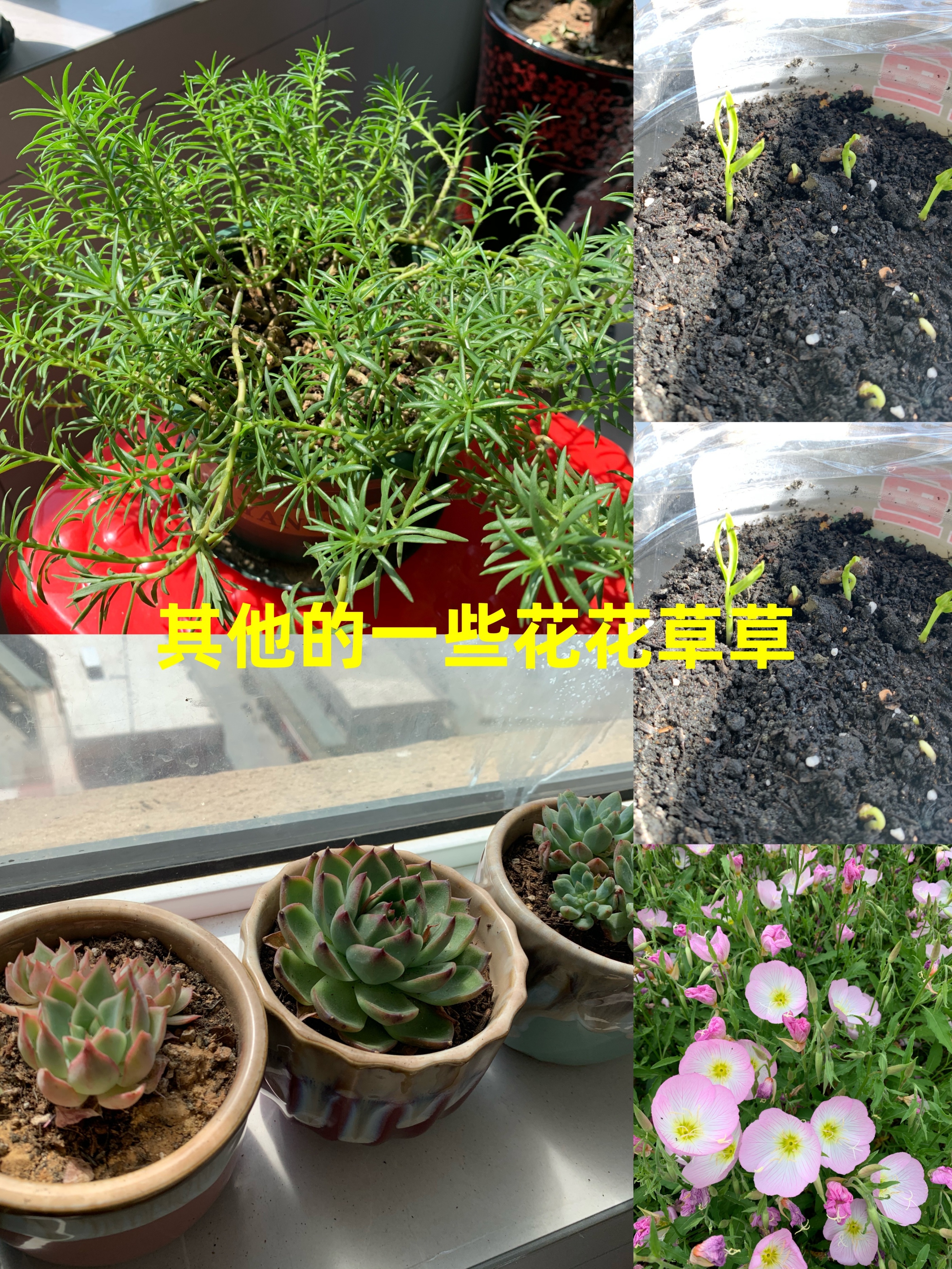 长期失业在家会抑郁么,失业在家一年后的迷茫