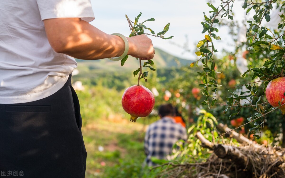 重庆可以办理电信5元老人套餐吗,适合老年人用电信套餐