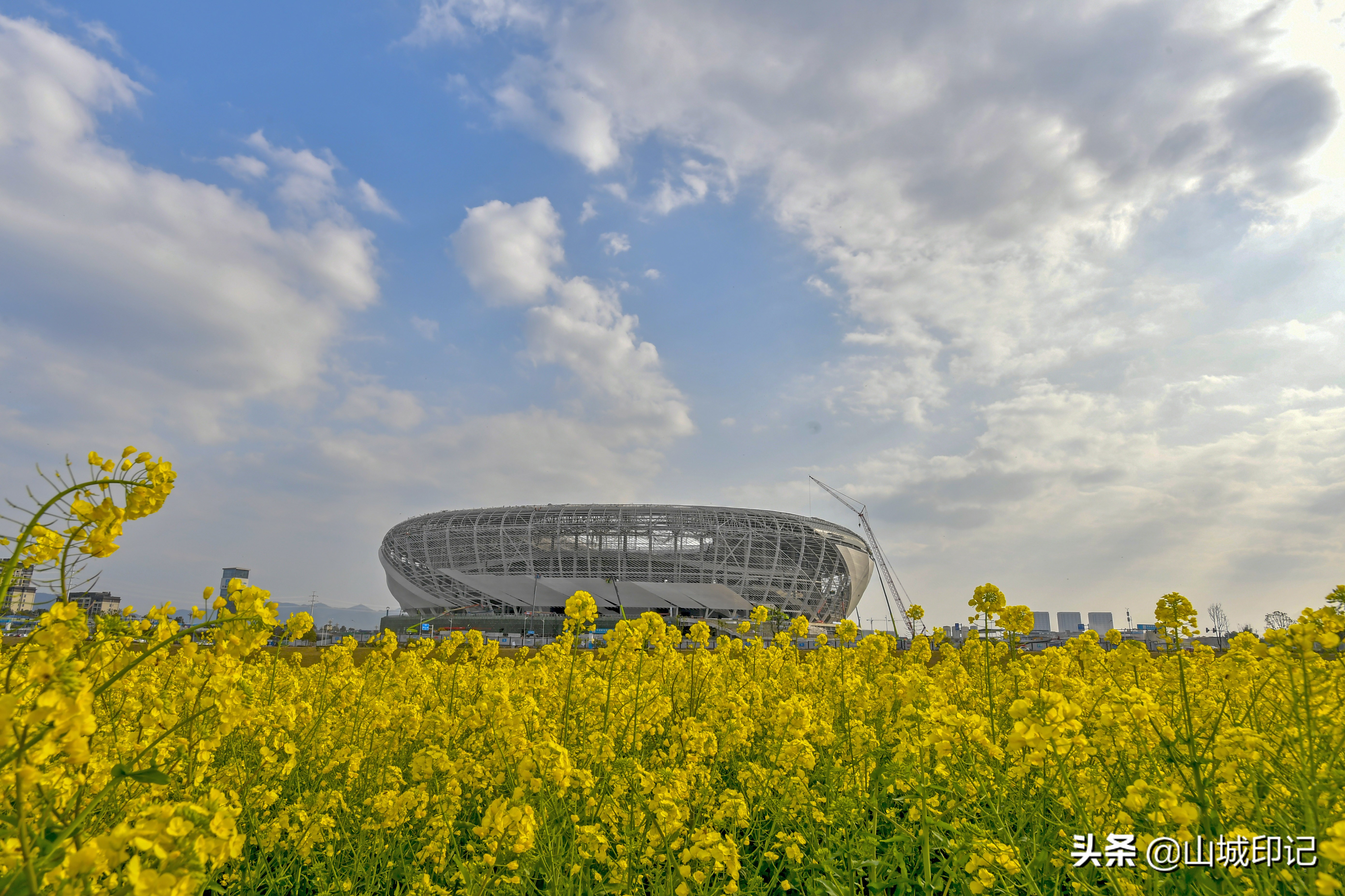 龙兴足球场5月1号有灯光秀吗,2023亚洲杯专业足球场开工进度