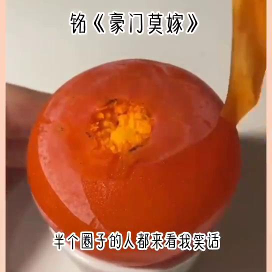 璞棬鑾珌缁撳眬,璞棬鑾珌鍚庣画缁撳眬