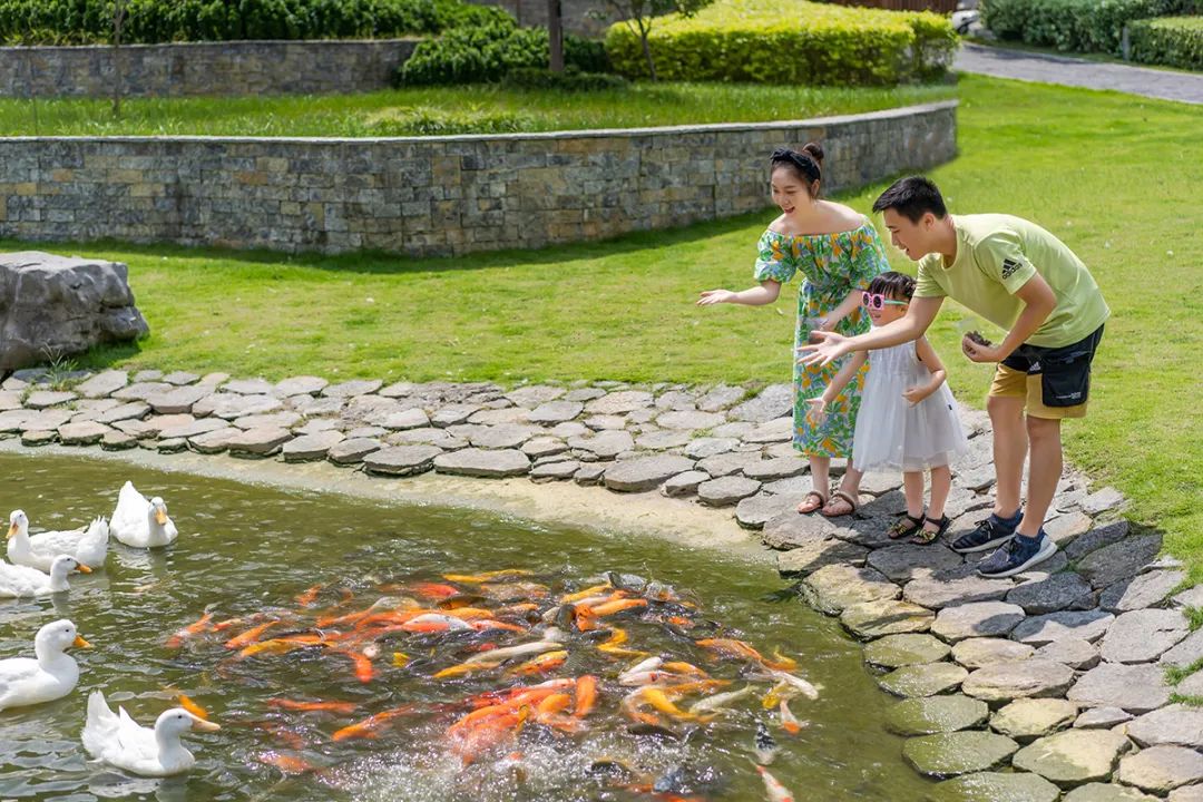 住阳朔应该住哪里的酒店,住阳朔附近哪里比较好
