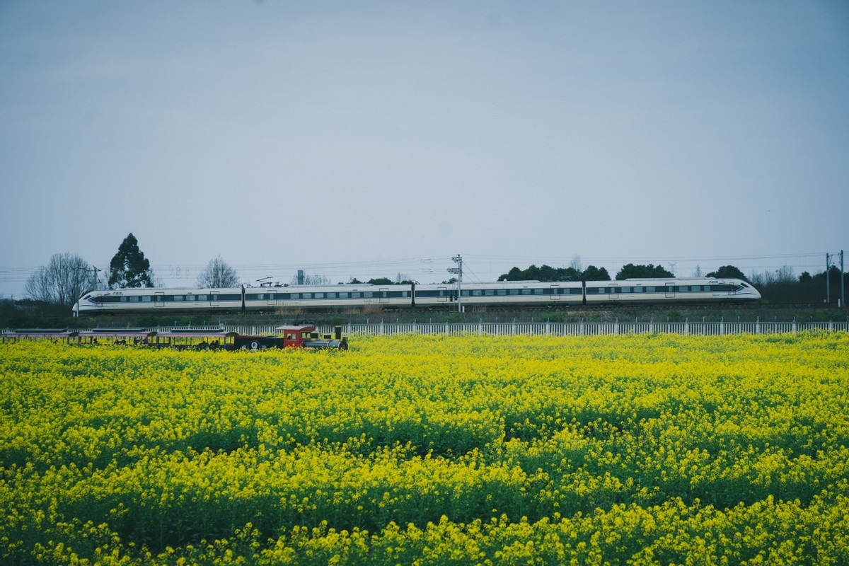 成都四个圈,成都分为几个圈