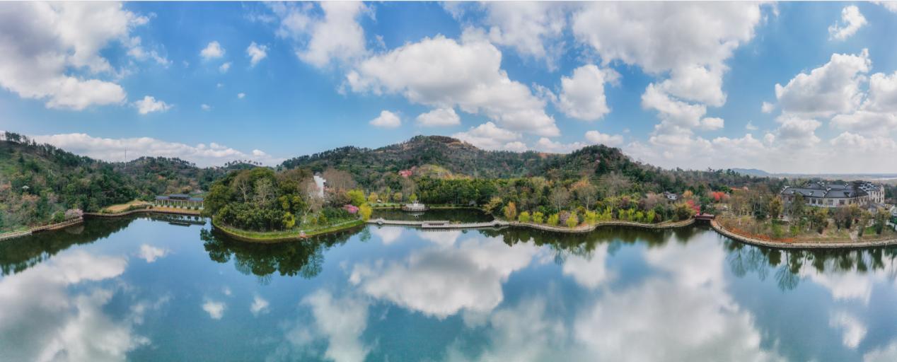 过年买给小朋友的零食礼物,致小朋友的一份礼物请查收