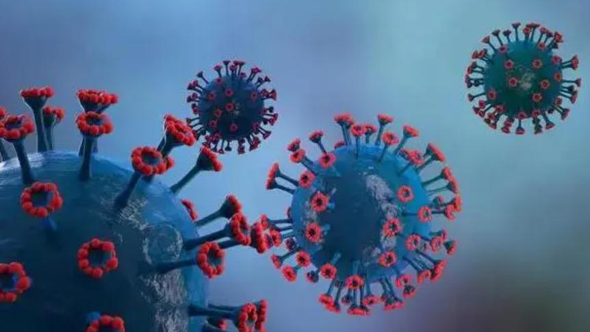 印度廉价新冠特效药,印度新冠特效药最新消息