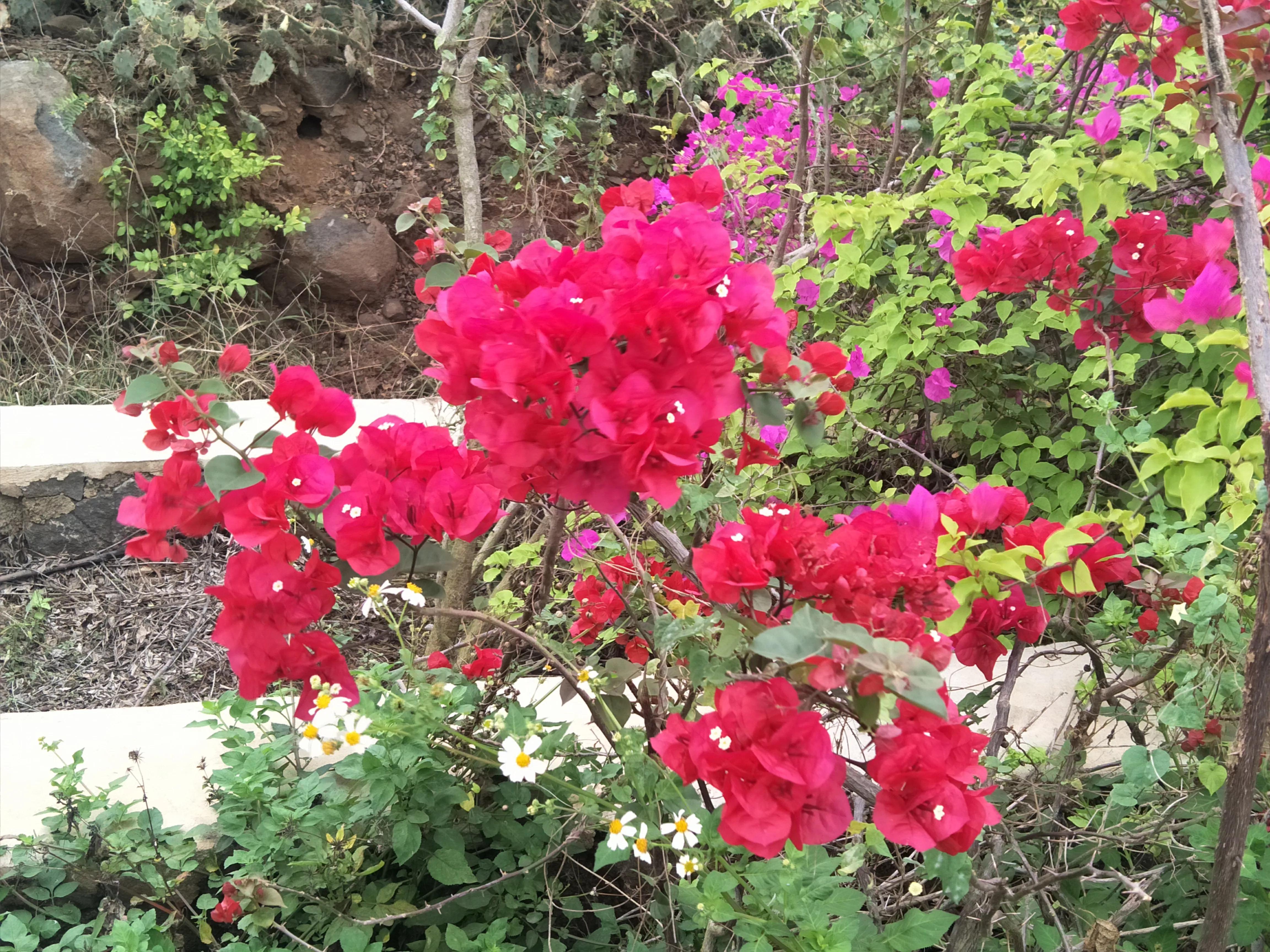 屈原为什么跳江而死呢,屈原跳江楚王的反应