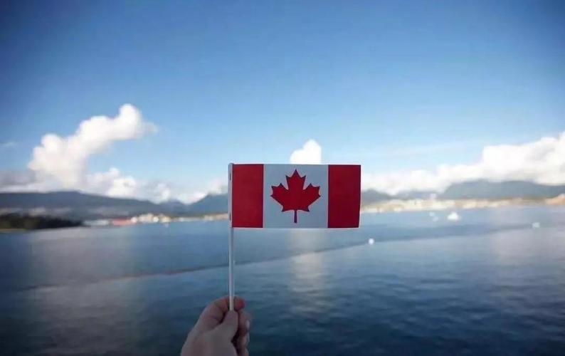 加拿大移民l在加拿大如何少交税