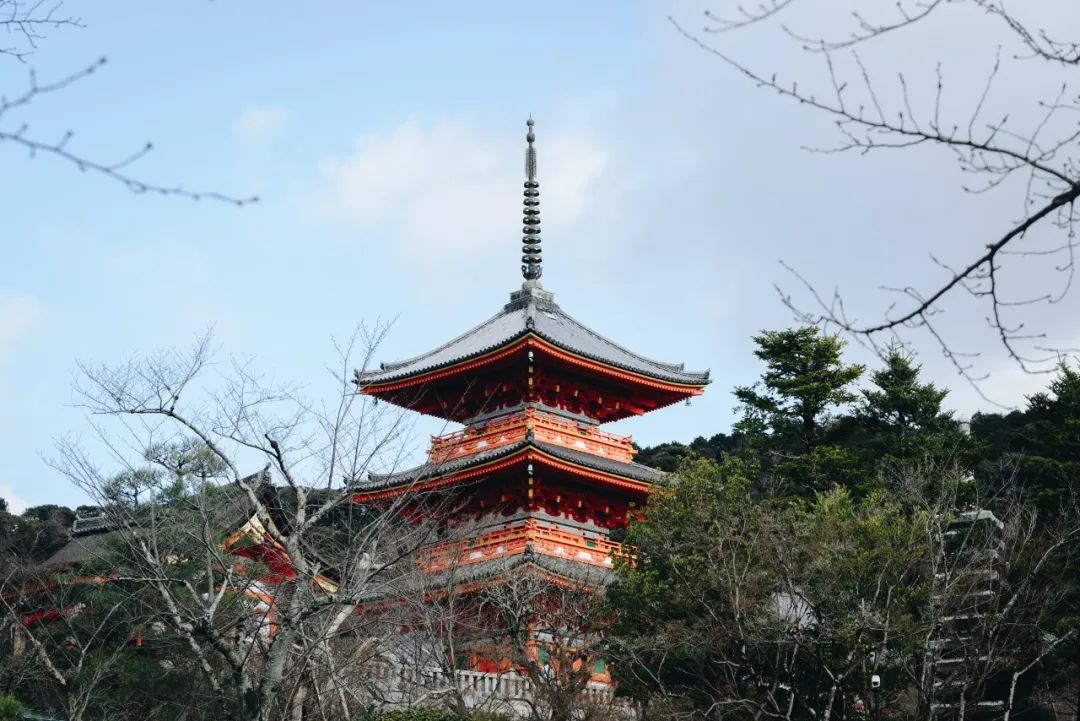 日本01年出生人口,日本01假面骑士