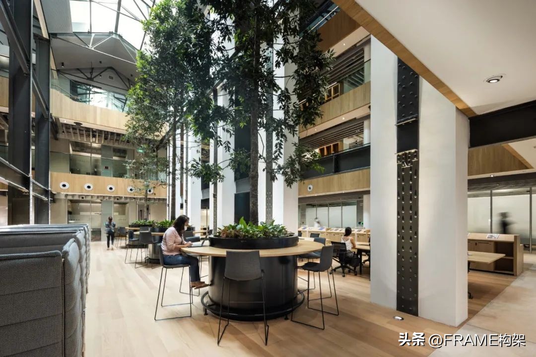 穆氏建筑设计完成的戴森新加坡总部、ADIDAS迪拜旗舰店上榜