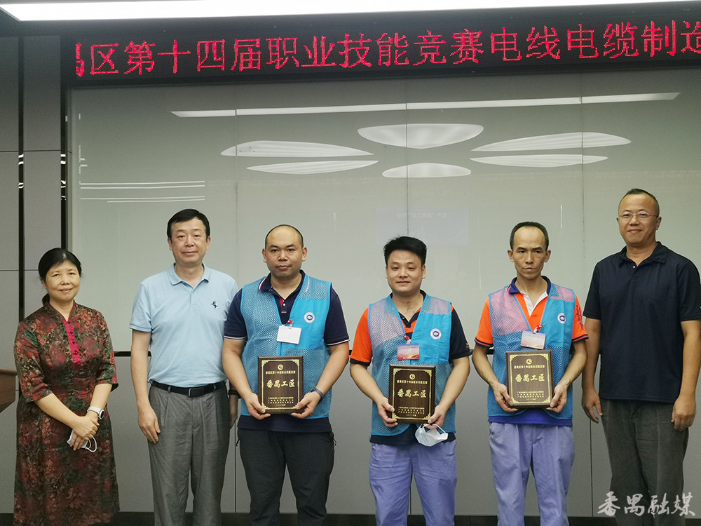 番禺石楼做电线电缆的厂,电线电缆行业知名专家