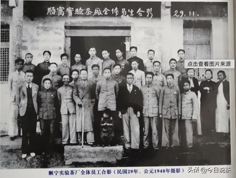 三分钟带你了解云南茶,茶叶小知识一分钟了解滇红茶