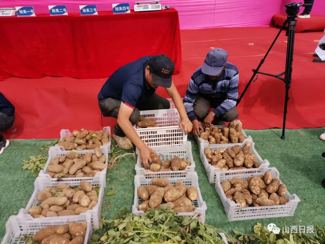 鍏ㄧ渷鍔犲伐鍨嬮┈閾冭柉,鍦熻眴闈╁懡鍔╁姏涓版敹涓颁骇