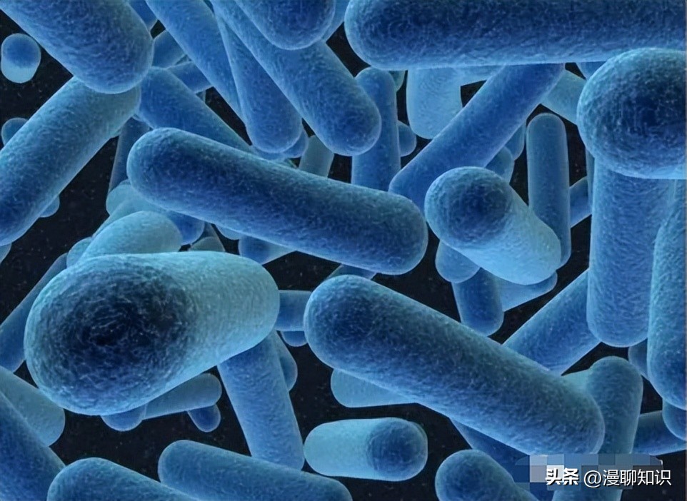 马传染病的传播,马传染性子宫炎