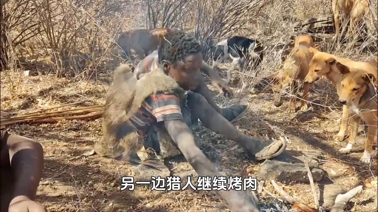 哈扎猎人做什么工作的,哈扎猎人是做什么工作的