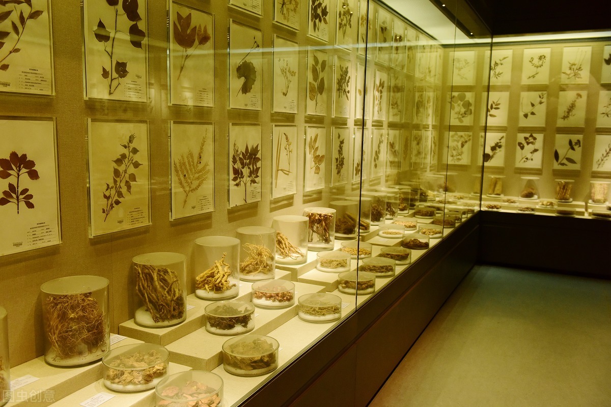 咳嗽白痰多反复几个月是湿气重吗,湿气重怎么办推荐燥湿化痰食材