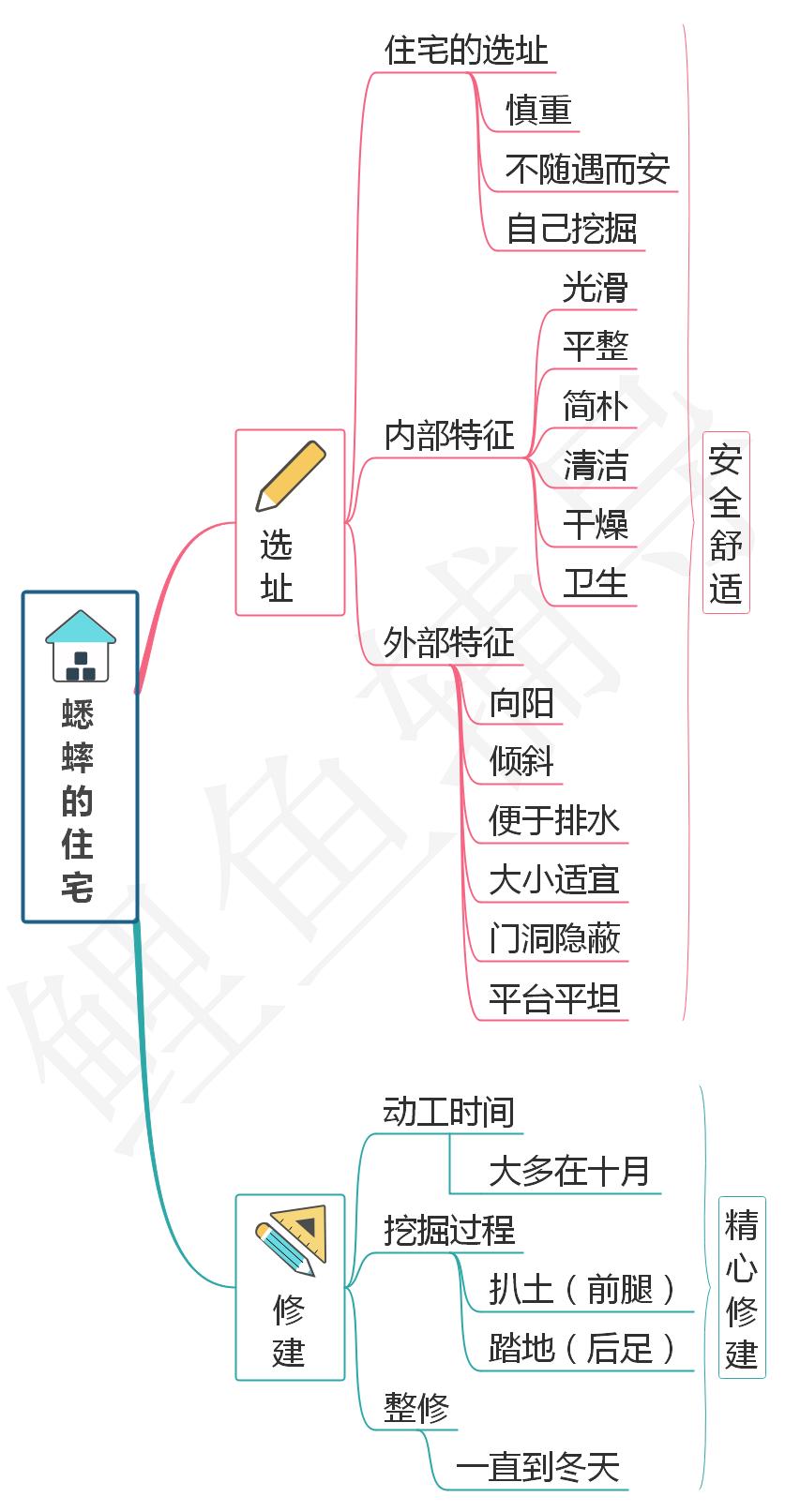部编版四年级语文上册《蟋蟀的住宅》课文解析，给孩子预习