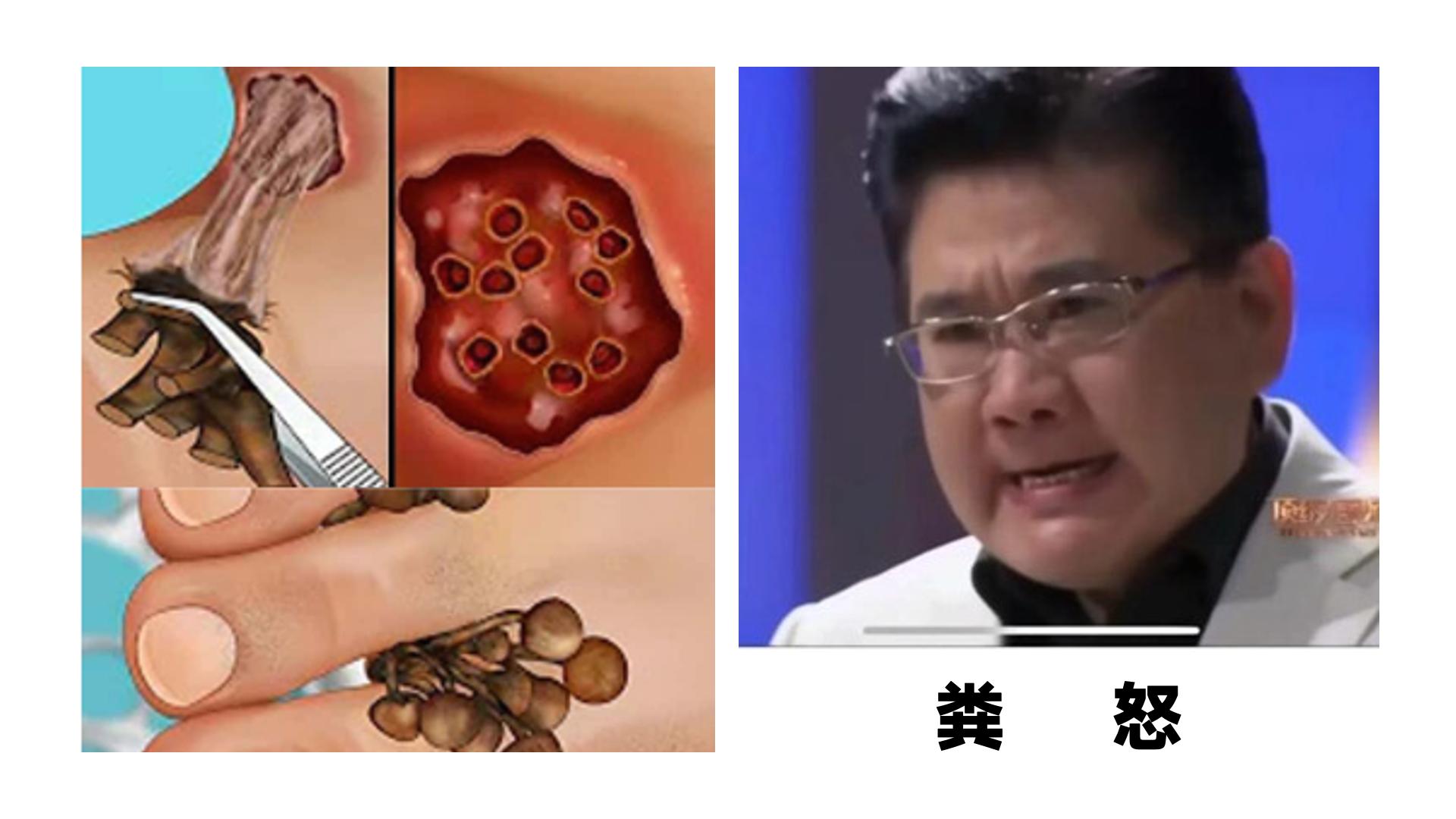 chatgpt推荐场景,chatgpt爆款应用