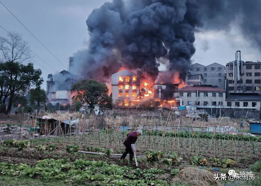 古镇摄影大赛获奖名单,北京摄影大赛获奖照片